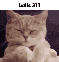 Balls 311 GIF