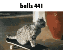 Balls 441 GIF