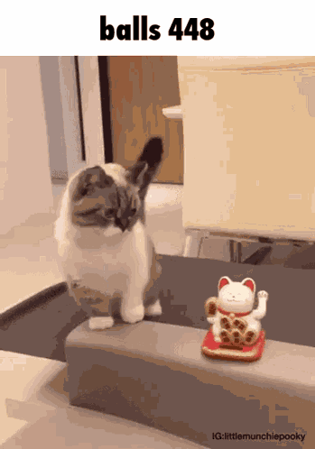 Balls 448 GIF