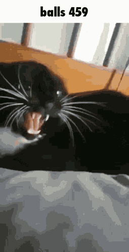 Balls 459 GIF