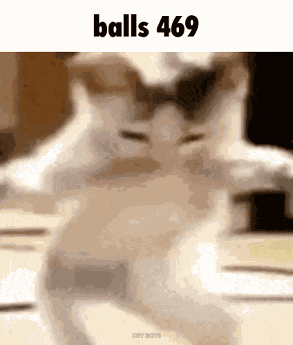 Balls 469 GIF