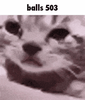 Balls 503 GIF
