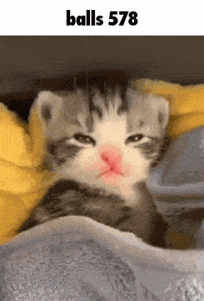 Balls 578 GIF