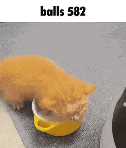Balls 582 GIF