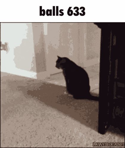 Balls 633 GIF