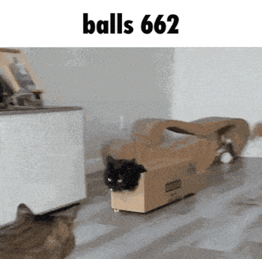 Balls 662 GIF