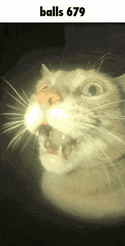 Balls 679 GIF