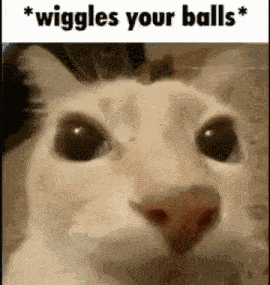 Balls GIF