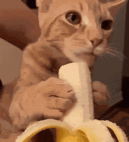 Banana GIF