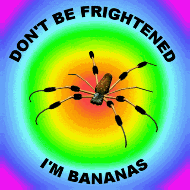Banana Spider Dont Be Frightened GIF