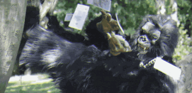 Banish Black Desert Online GIF