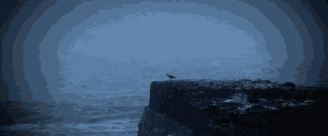 Banner Discord Banner GIF