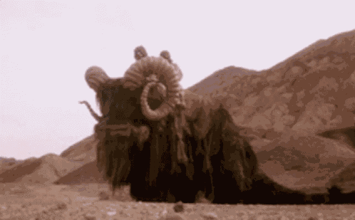 Bantha Star Wars GIF