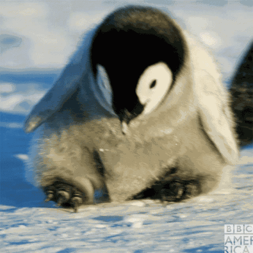 Bartiev GIF