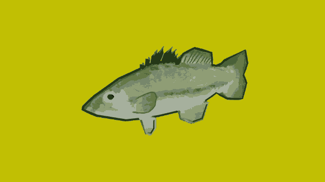 Bass Fish Hmmm GIF