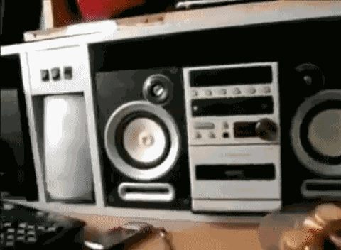 Bass Funny GIF