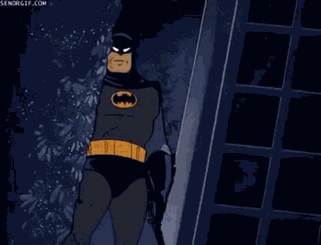 Batman Approval GIF