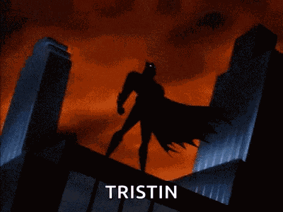 Batman Brucewayne GIF