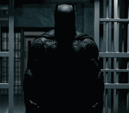 Batman Bvs GIF