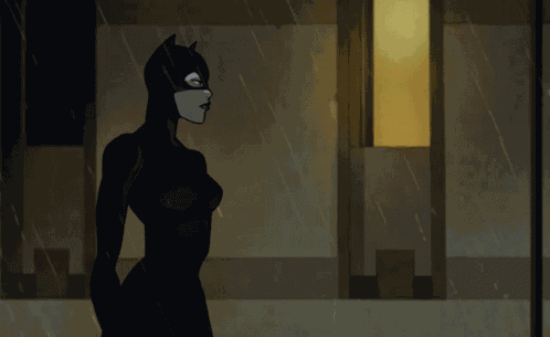 Batman Catwoman GIF