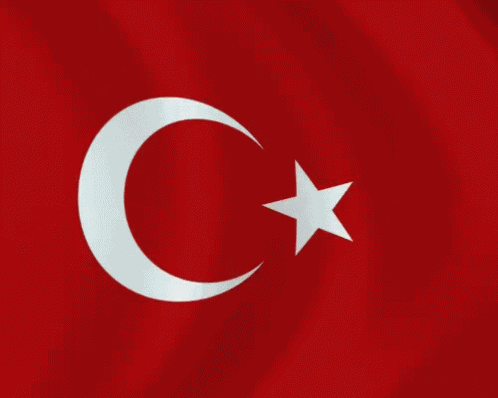 Bayrak Türk Bayrağı GIF