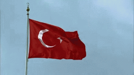 Bayrak Turkbayragi GIF