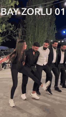 Bayzorlu01 Kürçe Halay GIF