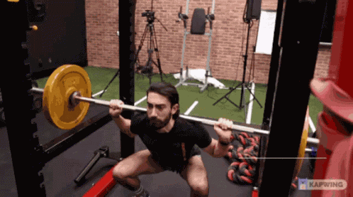 Bb Back Squats GIF