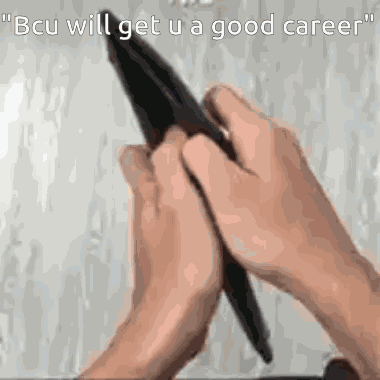 Bcu Career GIF