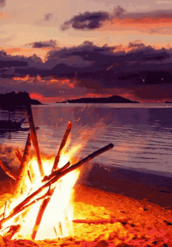 Beach Bonfire Bon Fire Night GIF