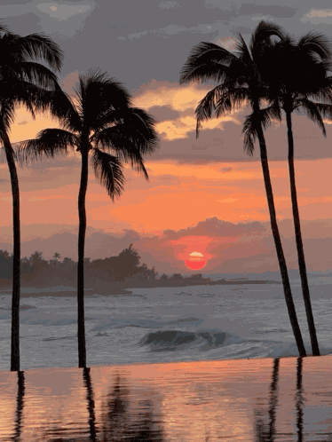 Beach Vacation Beach Day GIF