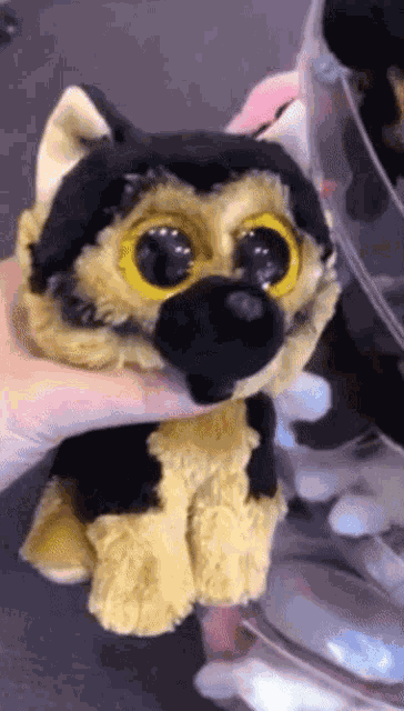 Beanie Boo Ty GIF
