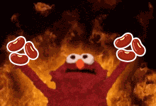 Beans Elmofire GIF