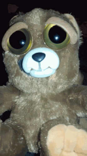 Bear Bipolar GIF