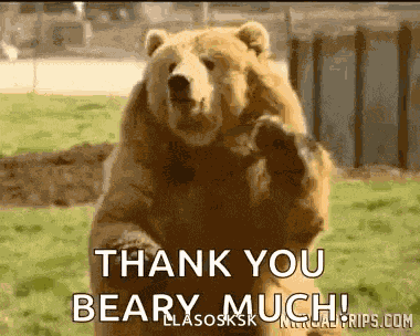 Bear Byebear GIF