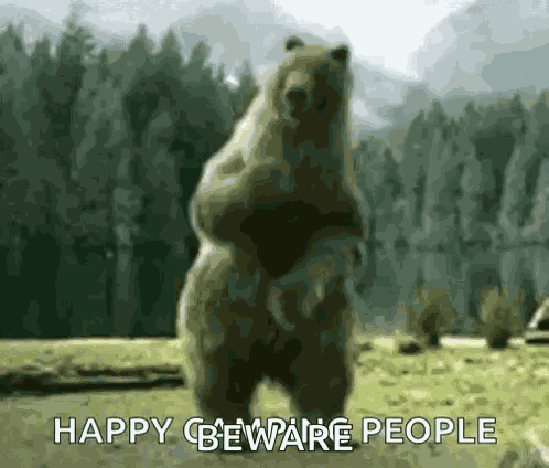Bear Dance GIF