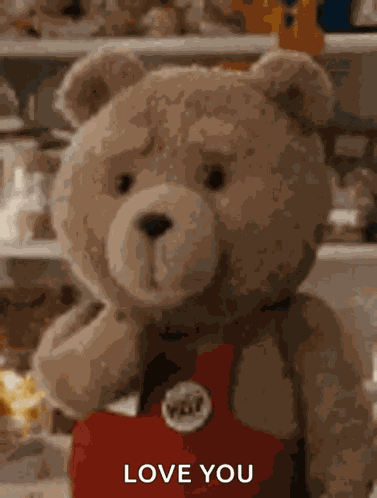 Bear Ted GIF