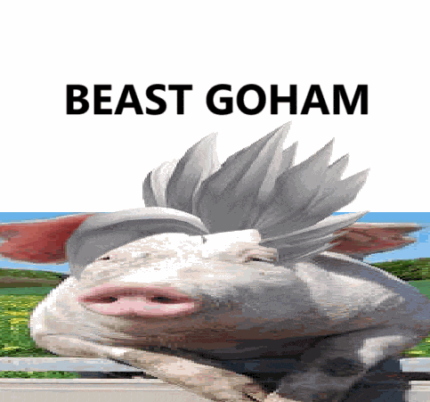 Beast Gohan Dbz Meme