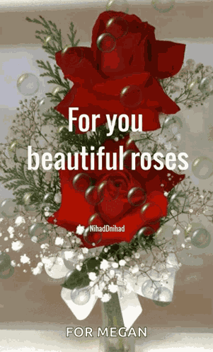 Beautiful Roses GIF