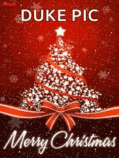 Beautiful Tree Gif GIF