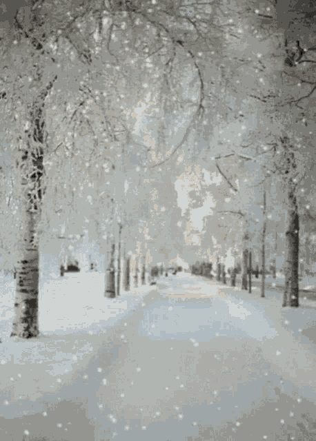Beautiful Winter GIF