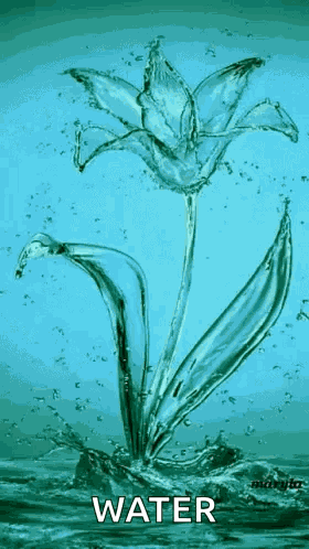 Beauty Love GIF
