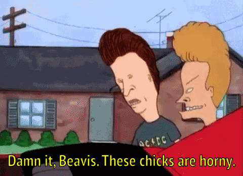 Beavis And Butthead Damn It GIF