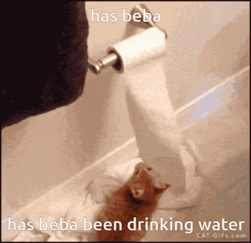 Beba Water GIF