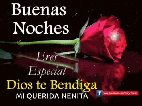 Bedtime Buenas Noches GIF