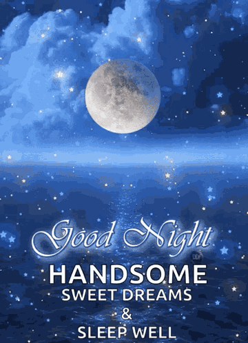 Bedtime Goodnight GIF