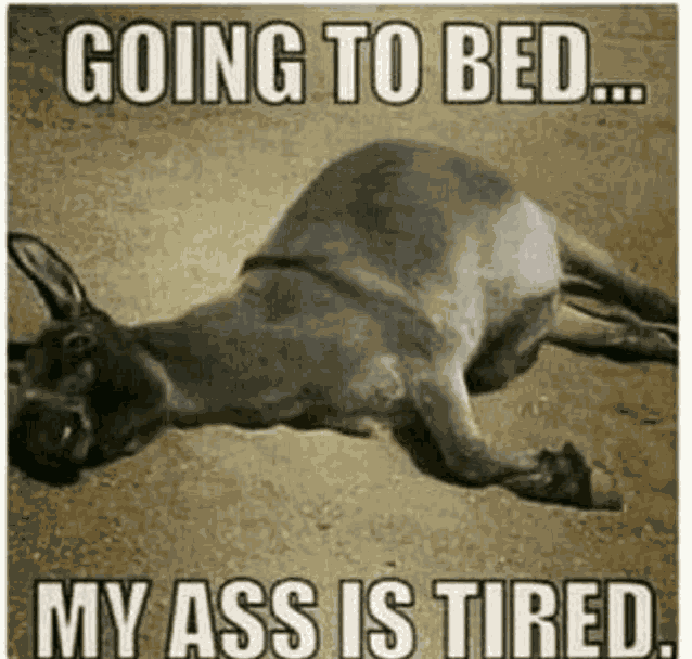 Bedtime Meme