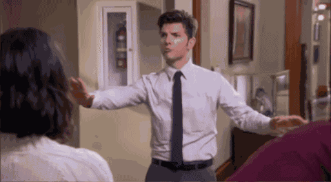 Ben Wyatt Parks And Recreation GIF