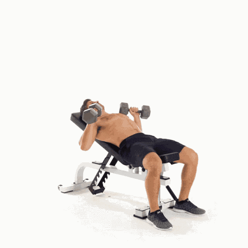 Bench Press Regular Bench Press GIF