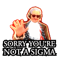 Benjammins Sorry Not Sigma Sticker